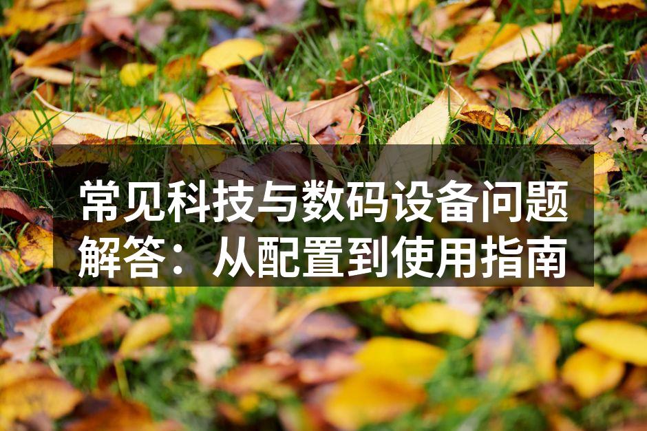 数码设备的多样选择